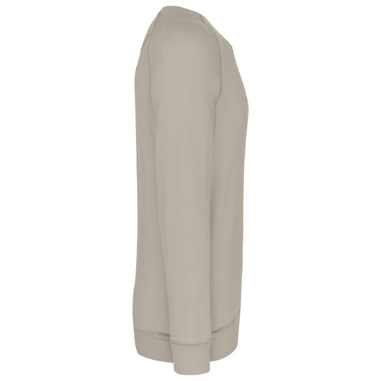 Sweat-shirt Bio col rond manches raglan homme