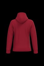 Sweat-shirt capuche homme