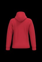 Sweat-shirt capuche homme