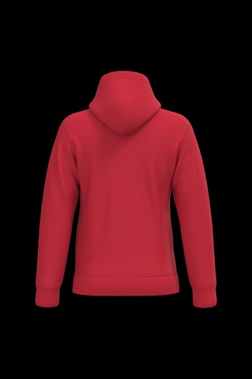 Sweat-shirt capuche homme